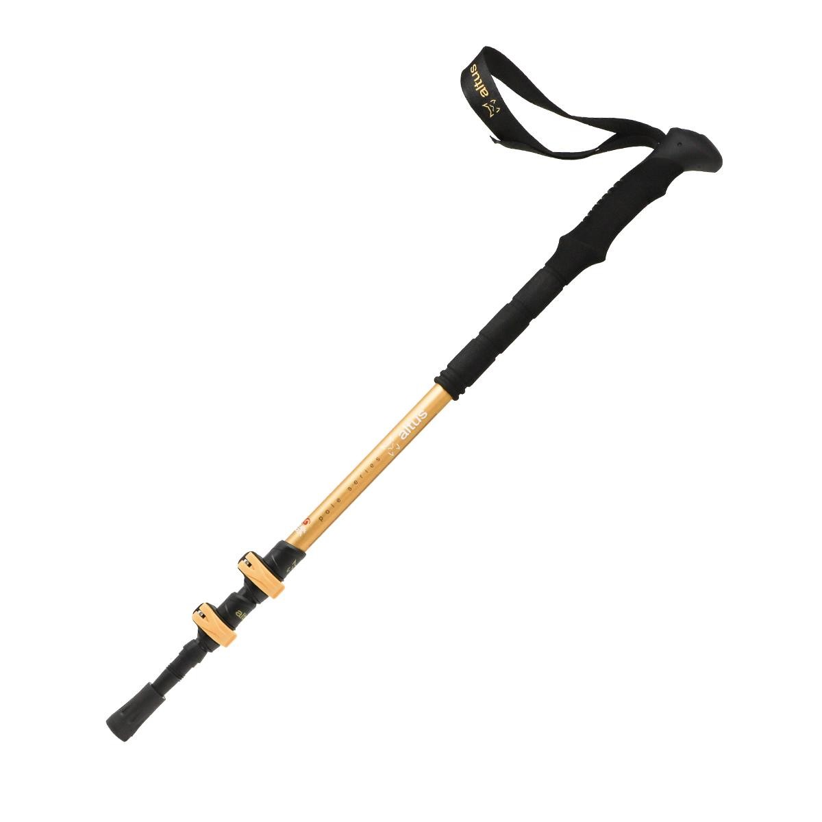 boj-altus.jpg Bastones Boj de Altus - Imagen 1